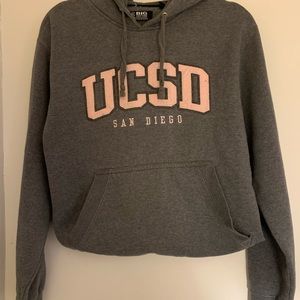 ucsd champion hoodie